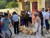 https://xahoi.com.vn/3-con-gai-mang-xang-phong-hoa-nha-me-de-vi-doi-chia-dat-xu-ly-nghiem-vu-viec-se-la-bai-hoc-canh-tinh-cho-nhung-dua-con-bat-hieu-388073.html
