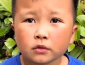 https://xahoi.com.vn/to-don-xin-nghi-hoc-cua-hoc-sinh-tieu-hoc-gay-bao-co-giao-vua-gian-vua-thuong-cha-me-cung-bat-luc-397681.html