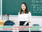 https://xahoi.com.vn/muon-tro-thanh-giao-vien-gioi-chung-chi-nghiep-vu-su-pham-la-dieu-tien-quyet-402824.html