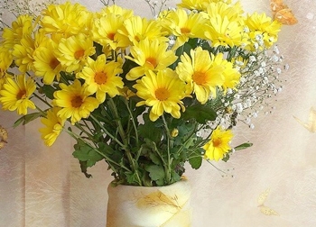 Loại hoa được trưng nhiều trong ngày Tết là thuốc quý, thường bị bỏ đi lãng phí
