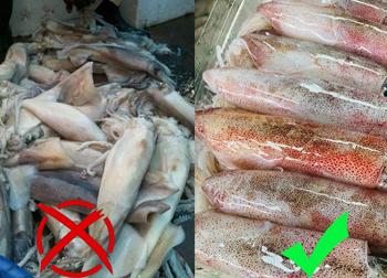 4 món hải sản 'ngậm' nhiều hóa chất độc nhất chợ, phải đặc biệt chú ý kẻo rước bệnh vào người