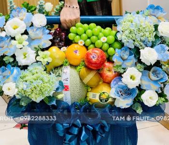 Giỏ Trái Cây 20/11 – Món Quà Tri Ân Sang Trọng, Ý Nghĩa Dành Tặng Thầy Cô