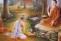 Lời Phật dạy về 'có nhân ắt có quả', nắm lấy để sống một đời an yên