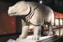 Bảo vật quốc gia nghìn năm tuổi của Trung Quốc có nguồn gốc từ Việt Nam: Vật phẩm cực hiếm