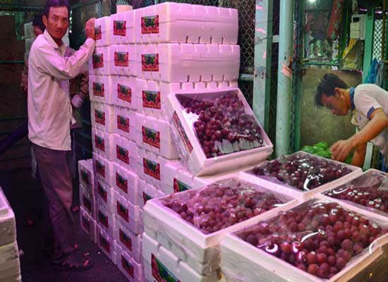 Phù phép nho Trung Quốc thành nho Mỹ