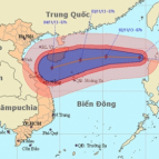 Vị trí và đường đi của bão số 12