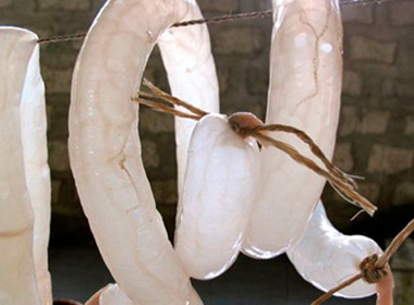 Một trong những chiếc bao cao su lâu đời nhất được biết đến là làm từ ruột lợn. 