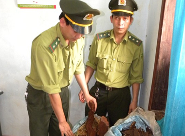 Lâm tặc vây đánh kiểm lâm 'đòi' gỗ sưa