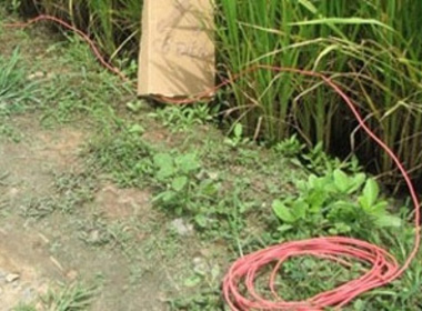 Bẫy vợ chết tại chỗ bằng điện rồi tri hô do rắn độc cắn