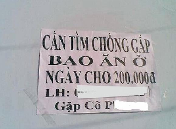 Thông báo tuyển chồng, bao ăn ở, ngày cho 200k