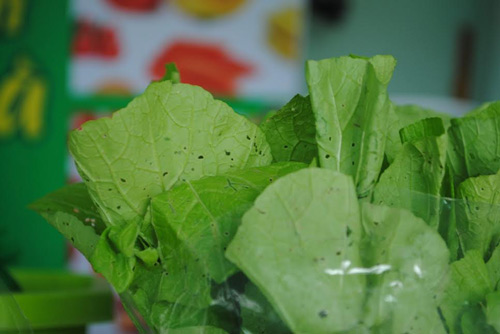 Rau sạch sẵn sàng cho thị trường Tết - 6