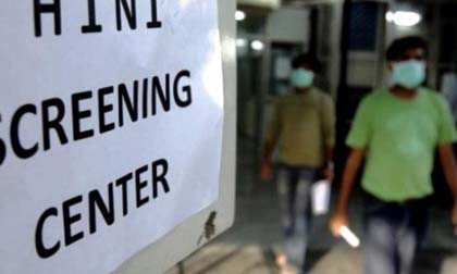 Dịch cúm gia cầm H7N9, cúm lợn H1N1 bùng phát mạnh ở nhiều nơi