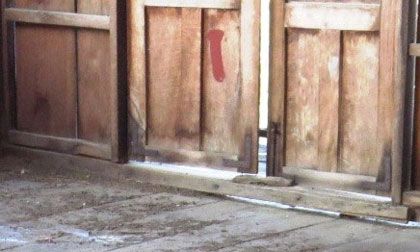 Xác chết lõa thể đang phân hủy trong ngôi nhà hoang