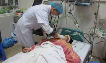 Những điều cần biết để phòng tránh bệnh cúm gia cầm khi thời tiết giao mùa