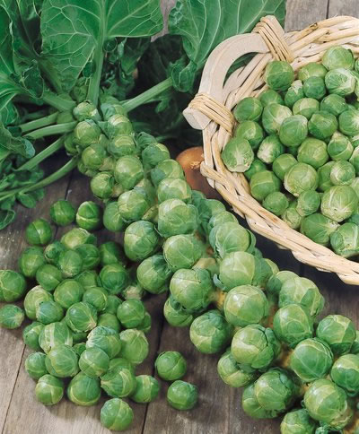 5 loại củ, quả tí hon “làm mưa làm gió” trên thị trường - 3