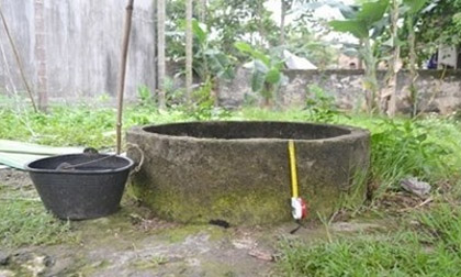 Tiếng “cốc, cốc” giữa trưa khiến cô ruột giết cháu
