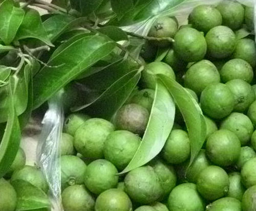 cong-dung-chua-benh-tu-qua-sau-it-ai-biet1