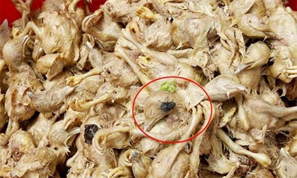 Tiêu thụ thực phẩm, mỹ phẩm độc hại: Chi tiền để... tự sát