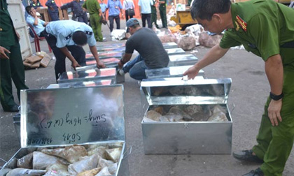 Giấu 1 tấn sừng tê giác, ngà voi trong… đá nhập khẩu