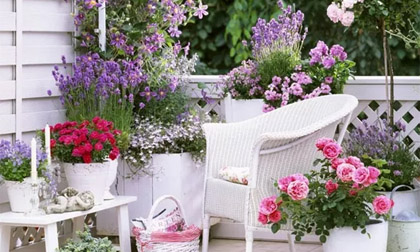 Mẹo nhỏ biến ban công buồn tẻ thành khu vườn sống động