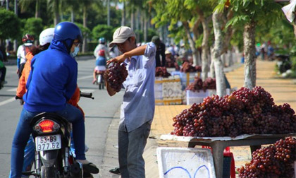 Nho Trung Quốc đội lốt Mỹ bán dọc miền Tây