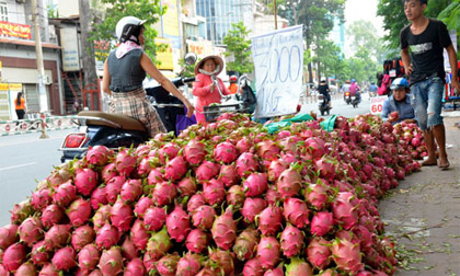 Đau đáu tìm đầu ra cho nông sản