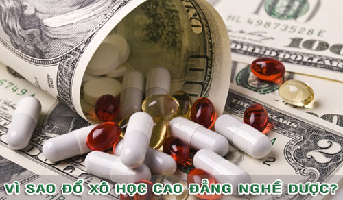 vi-sao-do-xo-hoc-cao-dang-nghe-duoc-xahoi.com.vn-1445509444