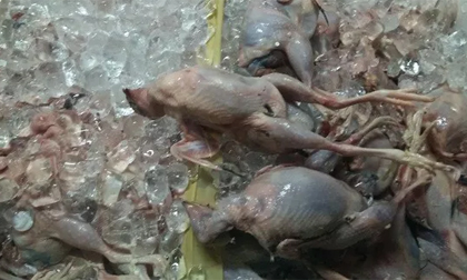 Kinh hãi thịt thối, bốc mùi, rỉ nước được hô biến thành món ngon khoái khẩu