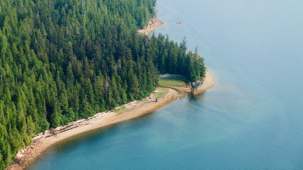 Rừng quốc gia Tongass, Alaska, Mỹ: Ánh nắng xuyên qua những tán cây vân sam khổng lồ, trong số đó nhiều cây đã 700 tuổi, làm bừng sáng nền rừng xanh biếc, tạo cảnh tượng kỳ vĩ tới khó tin. Tongass là rừng quốc gia lớn nhất Mỹ, lưu giữ được những khoảng rừng cổ xưa đã hàng nghìn tuổi của Bắc Mĩ. Ảnh: Rừng quốc gia Tongass, Alaska, Mỹ: Ánh nắng xuyên qua những tán cây vân sam khổng lồ, trong số đó nhiều cây đã 700 tuổi, làm bừng sáng nền rừng xanh biếc, tạo cảnh tượng kỳ vĩ tới khó tin. Tongass là rừng quốc gia lớn nhất Mỹ, lưu giữ được những khoảng rừng cổ xưa đã hàng nghìn tuổi của Bắc Mĩ.