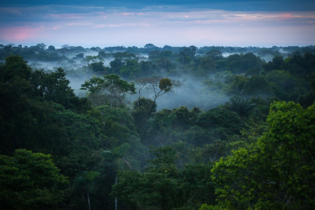 Amazon, Brazil và Peru: Trong 55 triệu năm, rừng Amazon đã bén rễ ở miền Bắc Nam Mỹ. Hiện nay, nạn phá rừng và đốt rẫy đã phá hủy nhiều khu vực rừng cổ xưa, nhưng vẫn có những nơi nằm sâu phía trong còn nguyên vẹn. Nơi đây có nhiều bộ lạc đã sống tách biệt với thế giới bên ngoài suốt hàng nghìn năm qua. Ảnh: Aluarts/Flickr