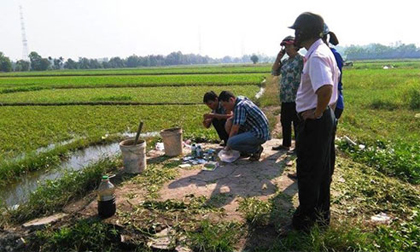 Ăn rau muống tưới nhớt thải bị bệnh gì?