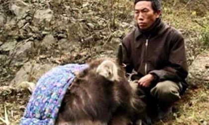 ‘Kẻ cười, người khóc’ khi thấy băng giá, tuyết rơi