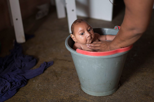 Virus Zika có thể bùng phát thành đại dịch trước sự bất lực của thế giới?! - Ảnh 1