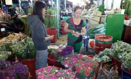 Hoa tươi ngày 8/3 giá tăng khoảng 30%