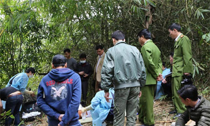 giet-vo-xahoi.com.vn-1457678736