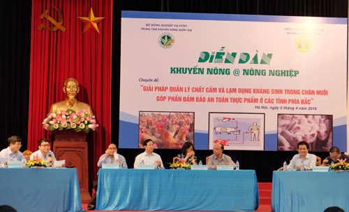 Còn bao nhiêu thực phẩm bẩn trên thị trường? - 2