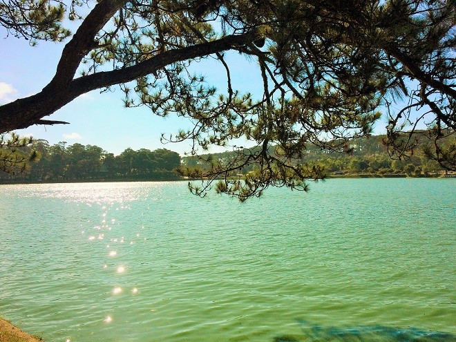 Da Lat lang le tro minh sang xuan hinh anh 3