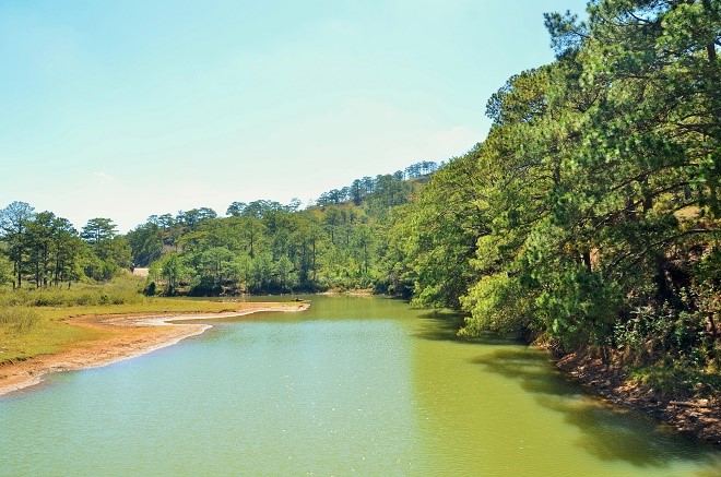 Da Lat lang le tro minh sang xuan hinh anh 5