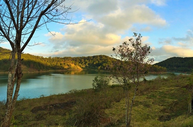 Da Lat lang le tro minh sang xuan hinh anh 1