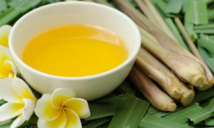 Bài thuốc ngừa ung thư cực hiệu quả từ củ sả
