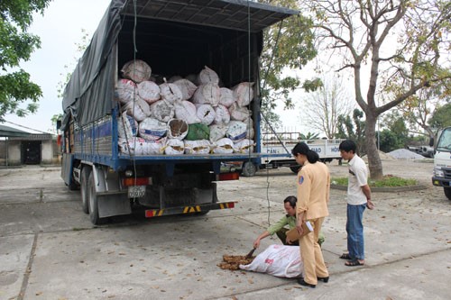 Thanh Hoa lien tiep bat giu hang chuc tan mo, noi tang thoi hinh anh 1