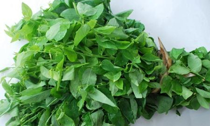 2 cách giúp bạn khử độc tố rau quả nhanh chóng