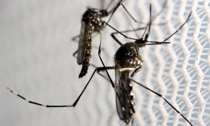 Trung Quốc xác nhận ca nhiễm virus Zika đầu tiên ở Bắc Kinh