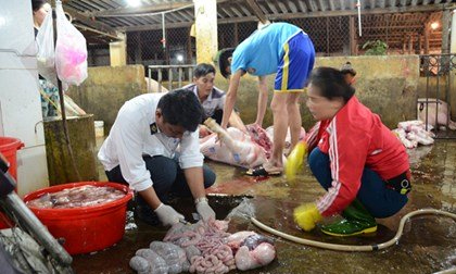 Phát hiện chất tạo nạc từ lò mổ lớn nhất Nghệ An
