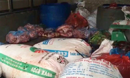 Liên tiếp thịt thối, thịt bẩn ‘hết hạn’ tuồn về Thủ đô