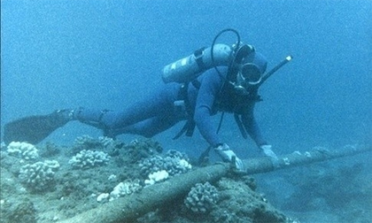 capquang-xahoi.com.vn-1467082912
