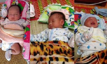 Thương tâm 3 trẻ sơ sinh bị mẹ bỏ rơi trước cổng chùa