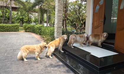 Nhận biết vận may, rủi qua điềm báo về phong thủy