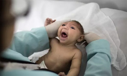 Trẻ sơ sinh đầu tiên ở châu Âu mắc chứng đầu nhỏ do nhiễm Zika
