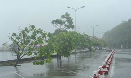 Dự báo thời tiết 11/8: Bắc bộ mưa lớn, ngập lụt kèm gió giật mạnh